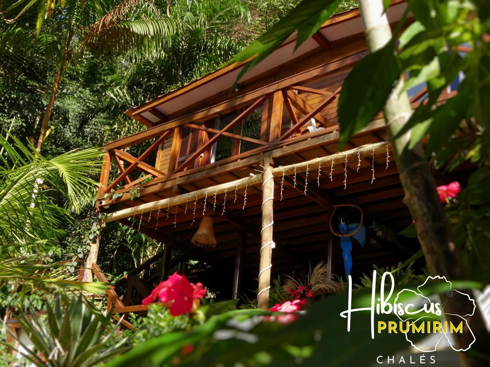 Hibiscus Prumirim Chales Ubatuba Exterior photo